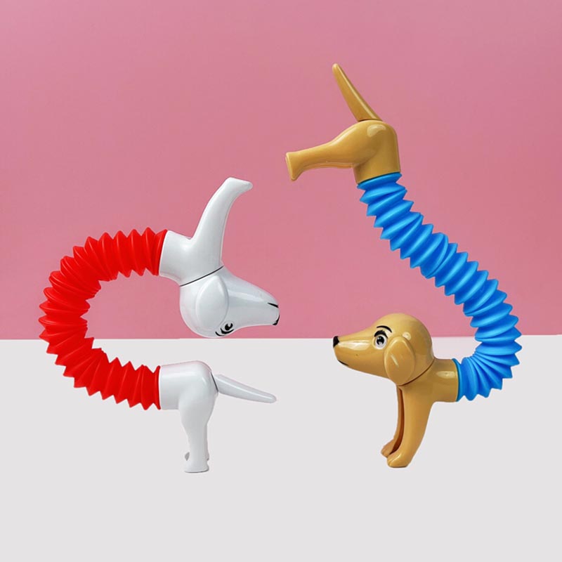 子供と大人のためのスプリングチューブ,感覚玩具,抗ストレス, - Kids Toys Dog のレビューと価格